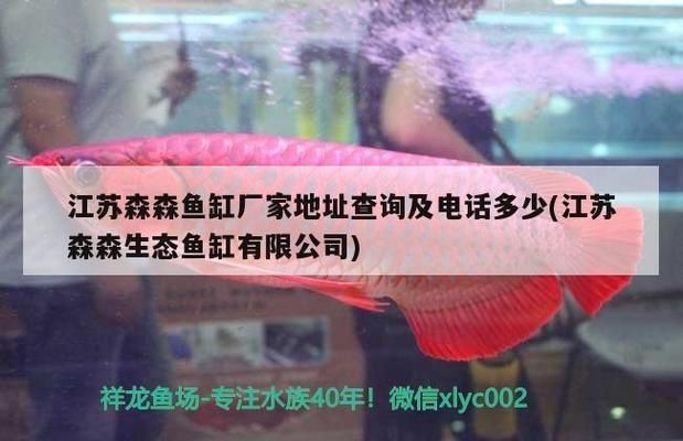 森森生態魚缸廠家地址：江蘇森森生態魚缸廠家地址
