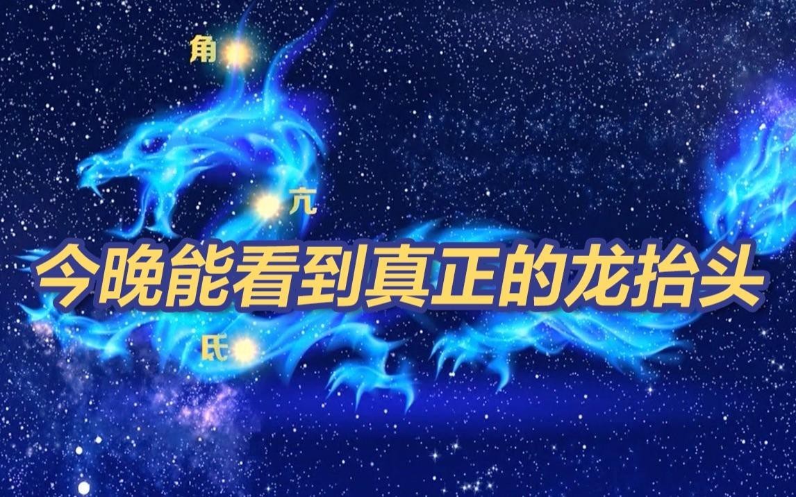 龍在哪些天象下最容易出現 龍在哪些天象下最容易出現 龍魚論壇 第1張