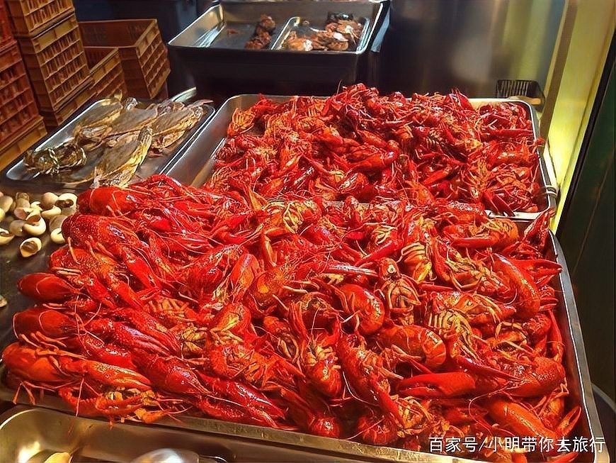 飛鳳魚價格這么貴 飛鳳魚價格這么貴 龍魚論壇 第7張