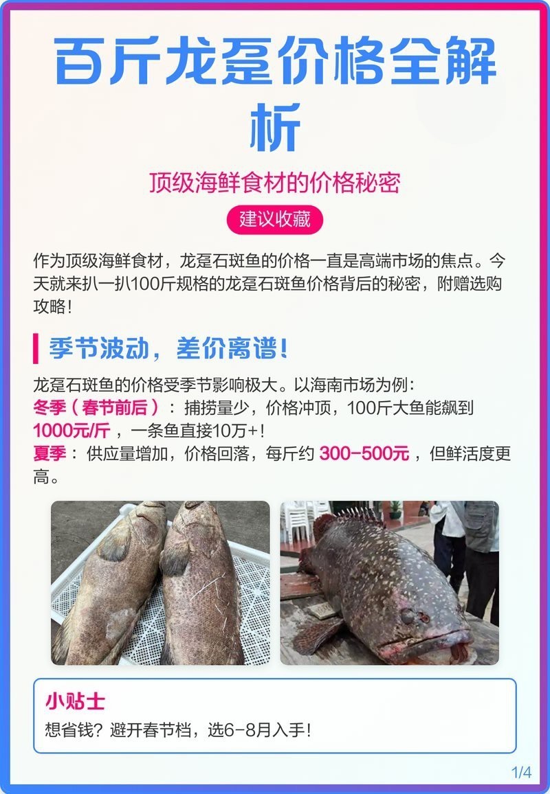 龍躉的市場價格是多少