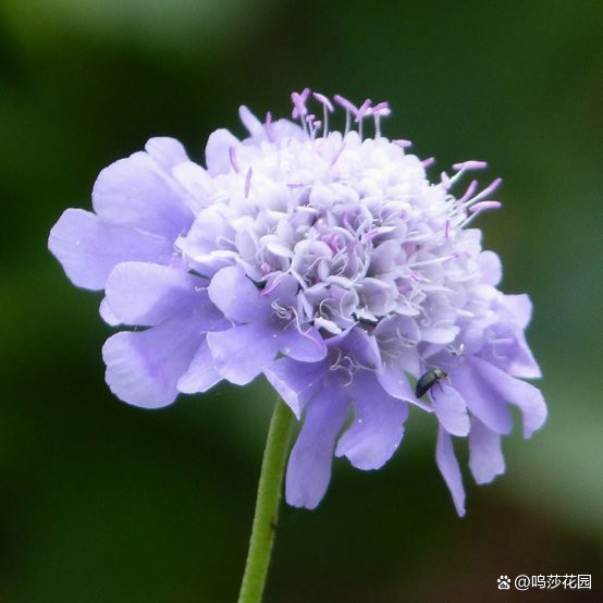 哪個牌子的魚缸過濾器比較好安全耐用(魚缸過濾器哪個牌子質量好)