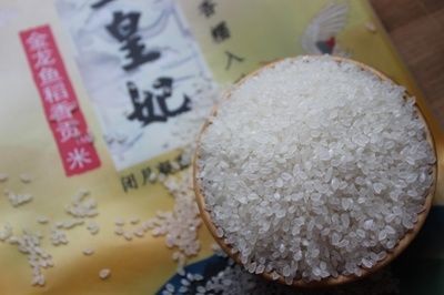 金龍魚白色顆粒是什么：白金龍魚是什么樣子的