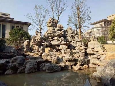 龜紋石魚缸造景效果圖（龜紋石魚缸造景效果圖是什么？）