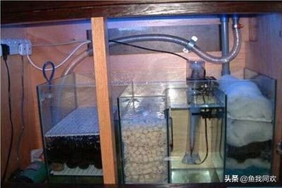 魚缸安裝教程管子：魚缸安裝教程管子的詳細步驟魚缸氧氣泵選型指南