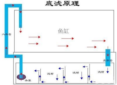 魚缸安裝教程管子：魚缸安裝教程管子的詳細步驟魚缸氧氣泵選型指南