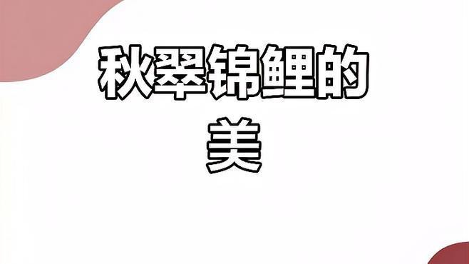德系秋翠錦鯉的優(yōu)缺點(diǎn)