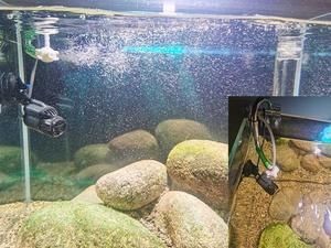 過濾桶、魚缸的增氧原理是什么？：過濾桶、魚缸增氧原理