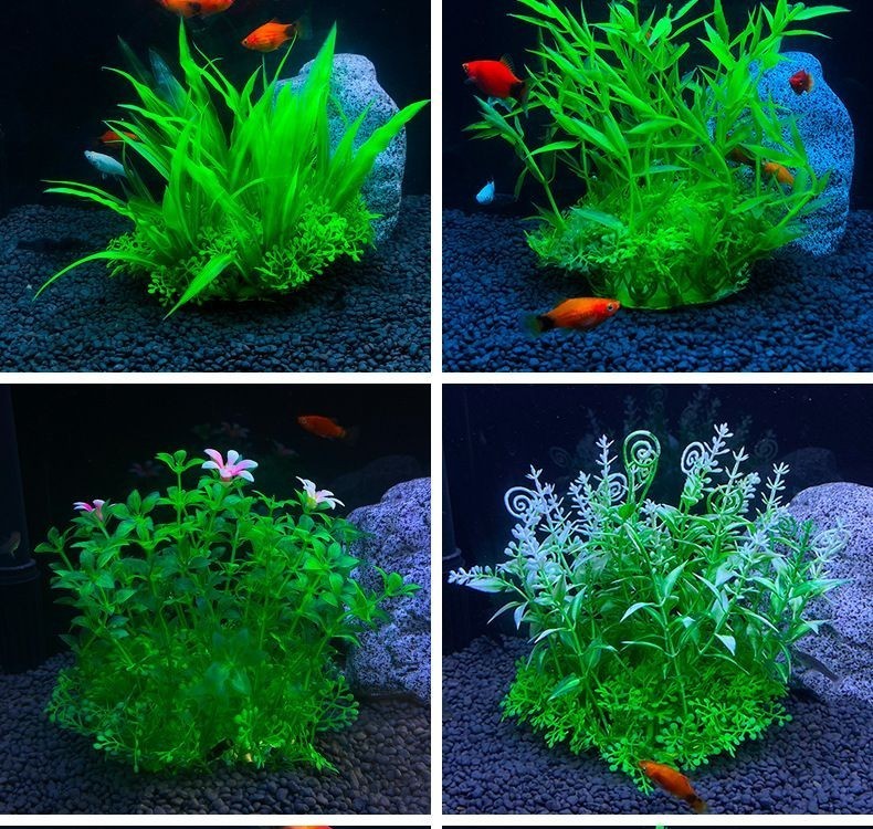 創魔魚缸擺件海草在哪：創造與魔法魚缸擺件海草在哪 創魔魚缸擺件海草在哪：創造與魔法魚缸擺件海草在哪 魚缸百科 第4張
