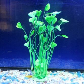 創魔魚缸擺件海草在哪：創造與魔法魚缸擺件海草在哪 創魔魚缸擺件海草在哪：創造與魔法魚缸擺件海草在哪 魚缸百科 第5張