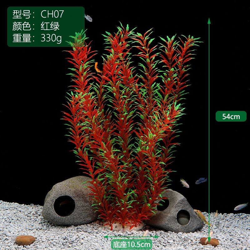 創魔魚缸擺件海草在哪：創造與魔法魚缸擺件海草在哪 創魔魚缸擺件海草在哪：創造與魔法魚缸擺件海草在哪 魚缸百科 第3張