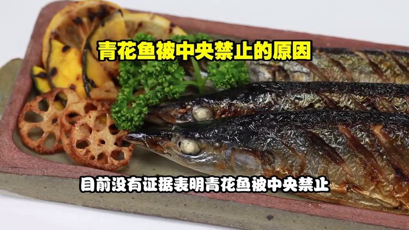 青花魚為什么很多人不吃