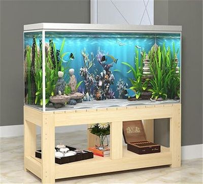 家里倆魚缸：魚缸風(fēng)水布局的最佳實(shí)踐