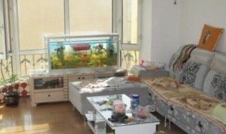 家里倆魚缸：魚缸風(fēng)水布局的最佳實(shí)踐