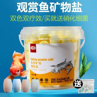 魚缸使用海鹽消毒的注意事項(xiàng)：海鹽消毒魚缸使用海鹽消毒魚缸具體步驟和注意事項(xiàng)