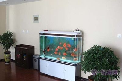 辦公室魚缸風(fēng)水的科學(xué)解釋：辦公室魚缸擺放在辦公室中的個(gè)性化設(shè)計(jì)的科學(xué)依據(jù)尚不明確