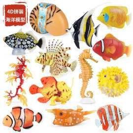 皇冠三間魚多少錢