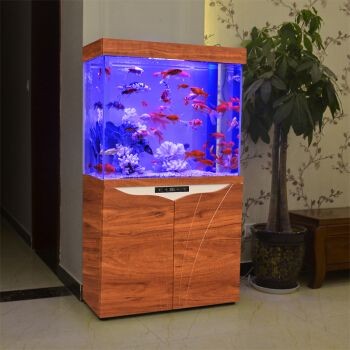 唐寵魚缸：唐寵魚缸的創(chuàng)新設(shè)計(jì)