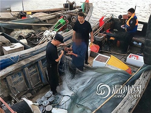 龍頭魚禁售對漁民有何影響？