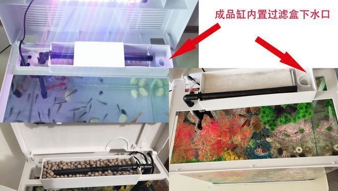 魚缸濾盒使用方法：如何判斷魚缸濾盒過濾效果
