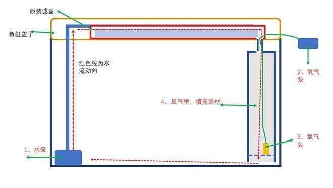魚缸濾盒使用方法：如何判斷魚缸濾盒過濾效果
