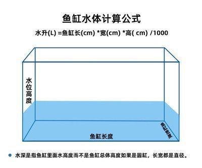 龍魚魚缸水位多少合適呢：龍魚魚缸水位高度應該控制在30-50厘米之間