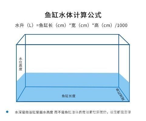 龍魚魚缸水位多少合適呢：龍魚魚缸水位高度應該控制在30-50厘米之間
