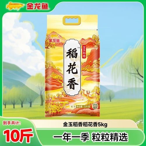 金龍魚稻花香米 金龍魚稻花香米 龍魚百科 第4張