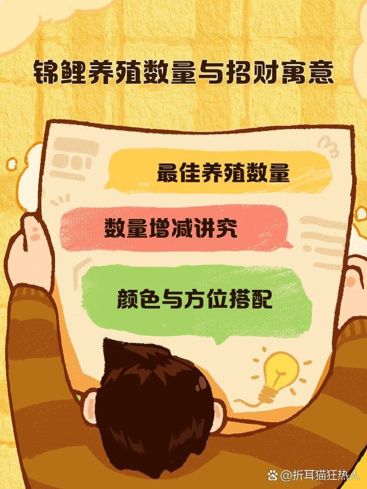 蝴蝶鯉一般養幾條最旺財