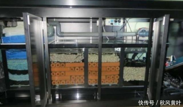 如何設計魚缸層次結構：設計一個魚缸層次結構需要考慮多個因素，客廳魚缸防潮設計方法