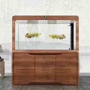 青龍魚(yú)百度百科