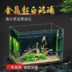 魚缸造景的基本步驟和方法：方形魚缸造景的基本步驟
