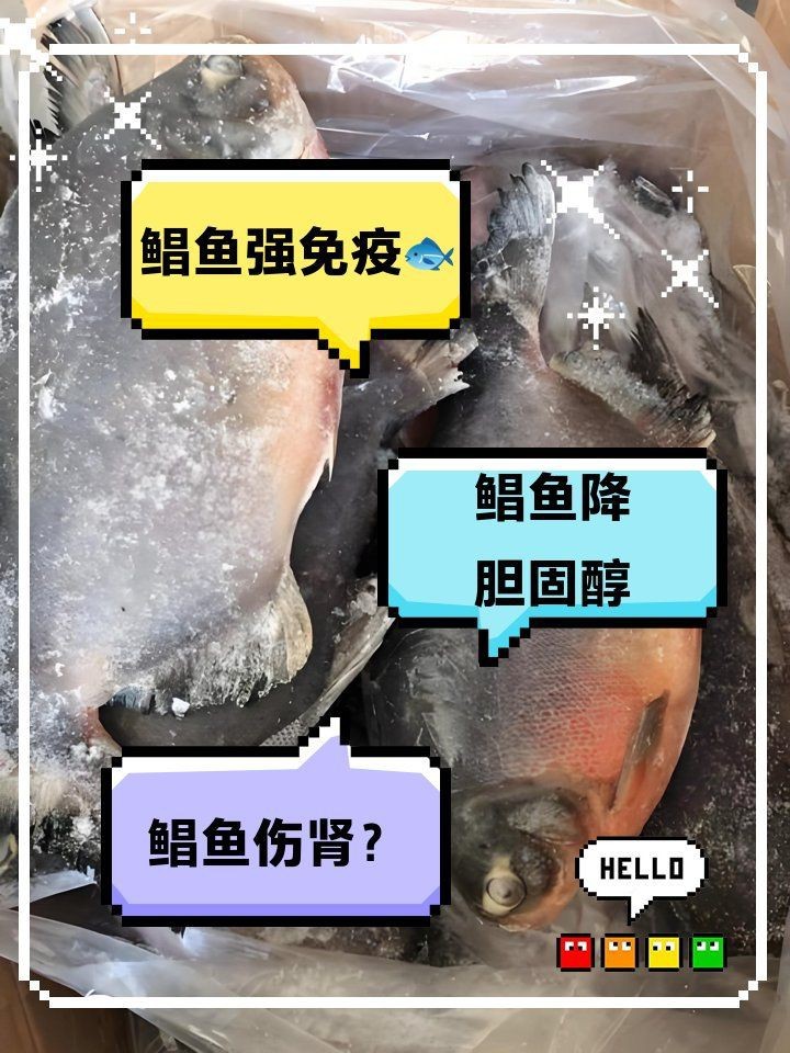 紅鯧魚吃了有啥好處