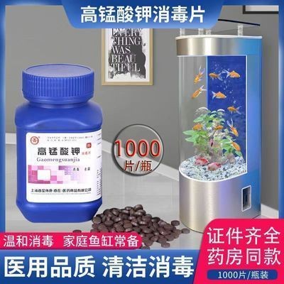 魚缸消毒的最佳時機定期給魚缸消毒時機定期給魚缸消毒：如何給魚缸消毒 魚缸消毒的最佳時機定期給魚缸消毒時機定期給魚缸消毒：如何給魚缸消毒 魚缸百科 第1張