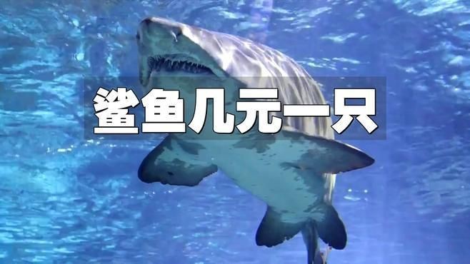 福滿客app平臺 龍魚論壇 第2張 福滿客app平臺 福滿客app平臺 龍魚論壇 第2張