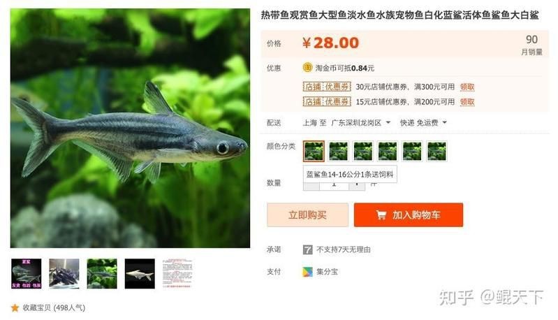福滿客app平臺 龍魚論壇 第8張 福滿客app平臺 福滿客app平臺 龍魚論壇 第8張