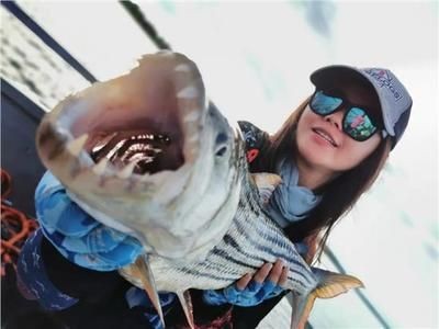 2024長城杯世界虎魚錦標賽（2024長城杯世界虎魚錦標賽介紹）