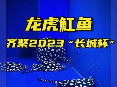 2024長城杯世界虎魚錦標賽（2024長城杯世界虎魚錦標賽介紹）