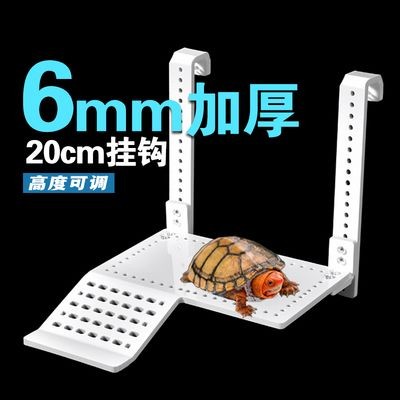 藍甸魚缸組裝：藍甸魚缸安裝步驟