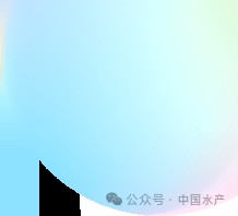 附近的小龍蝦批發市場