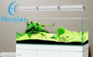 海納利爾魚缸怎么樣？：海納利爾魚缸如何選擇