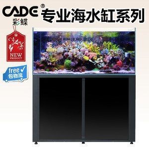 彩蝶魚缸c款