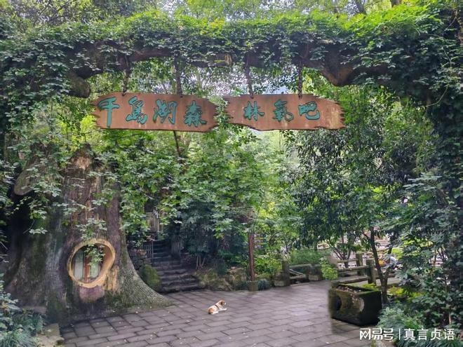 千島湖是哪個區哪個縣