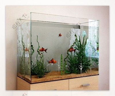 NYAQUARIUM魚缸，nyaquarium品牌魚缸
