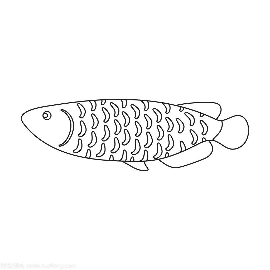 龍魚(yú)照片大全大圖，龍魚(yú)品種鑒賞指南,龍魚(yú)水族箱布置建議龍魚(yú)水族箱布置建議