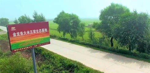 魚缸 巧家縣白鶴灘鎮景星水族商店(巧家縣白鶴灘鎮圖片) 全國水族館企業名錄 巧家縣白鶴灘鎮景星水族商店(巧家縣白鶴灘鎮圖片) 巧家縣白鶴灘鎮景星水族商店(巧家縣白鶴灘鎮圖片) 全國水族館企業名錄