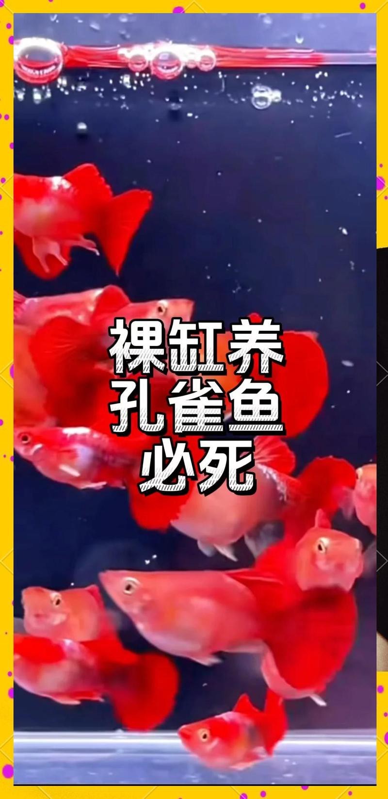 彩繪鸛魚石斧圖陶缸模型的制作方法分析銅奔馬始終保持平衡，中國現存文物中被禁止出境展出的文物有哪些？