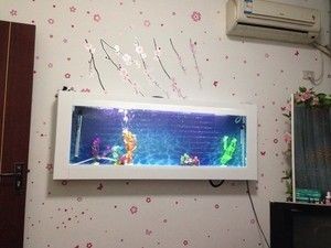 廣州魚缸廠家廣東魚缸品牌廣東魚缸廠家廣東魚缸廠家:廣州賣魚缸的地方 魚缸百科 第1張 廣州魚缸廠家廣東魚缸品牌廣東魚缸廠家廣東魚缸廠家:廣州賣魚缸的地方 廣州魚缸廠家廣東魚缸品牌廣東魚缸廠家廣東魚缸廠家:廣州賣魚缸的地方 魚缸百科 第1張