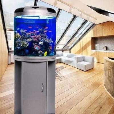 廣州魚缸廠家廣東魚缸品牌廣東魚缸廠家廣東魚缸廠家:廣州賣魚缸的地方 魚缸百科 第4張 廣州魚缸廠家廣東魚缸品牌廣東魚缸廠家廣東魚缸廠家:廣州賣魚缸的地方 廣州魚缸廠家廣東魚缸品牌廣東魚缸廠家廣東魚缸廠家:廣州賣魚缸的地方 魚缸百科 第4張