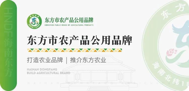 廣東鐵甲魚圖片