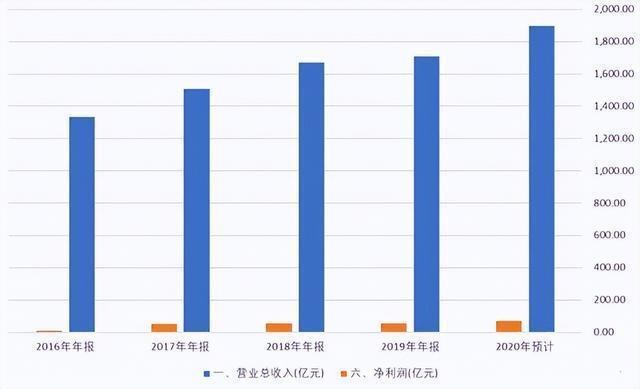 短身龍魚能長多大的魚（短身金龍魚的飼養技巧）